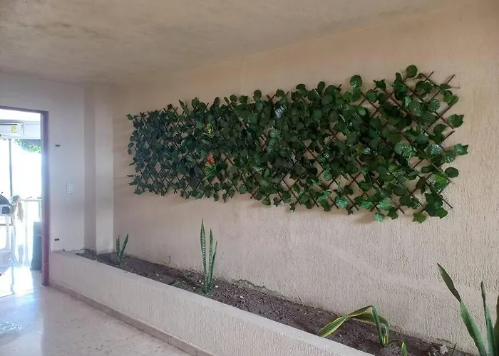 Cabrero - Cerca De La Ciudad Amurallada