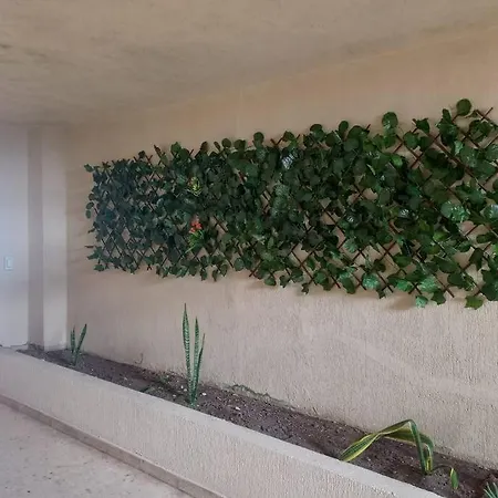 Cabrero - Cerca De La Ciudad Amurallada Cartagena Exterior foto